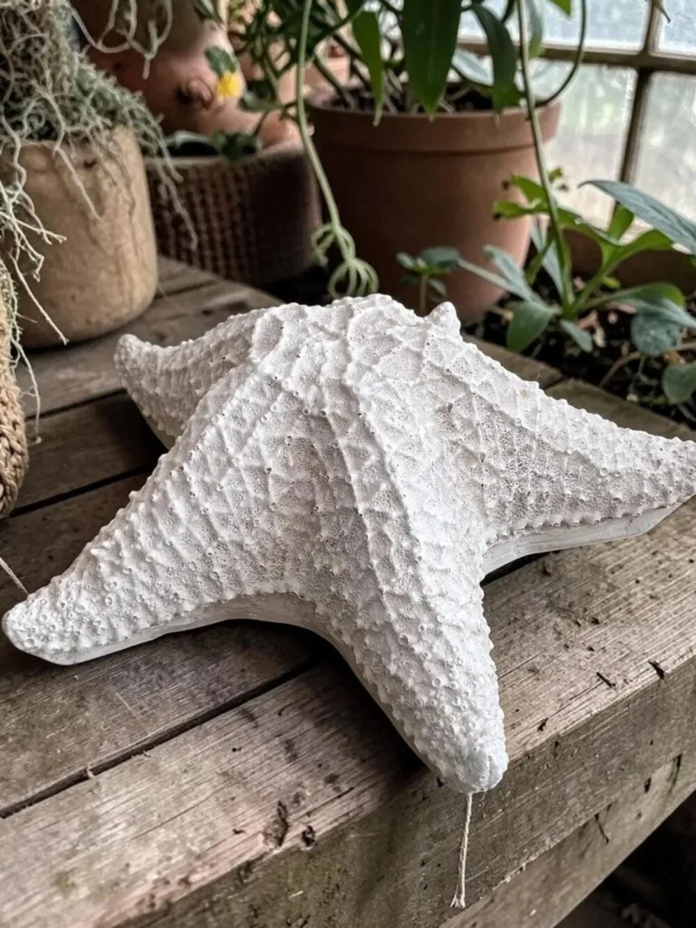 White Nautical Shabby Chic Resin Starfish Table Top Decor